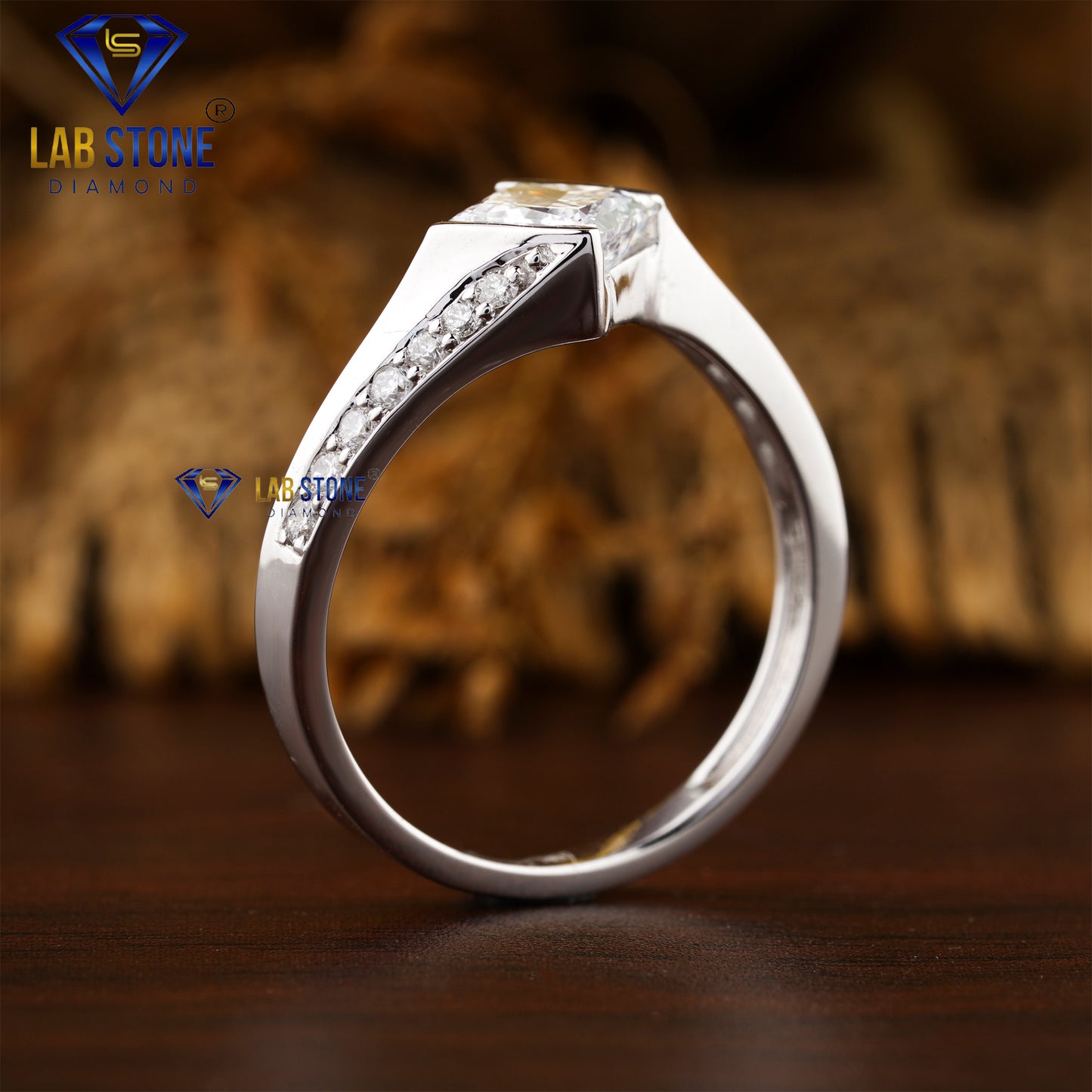 1.20 TDW Princess & Round Cut Diamond Women's Engagement Ring