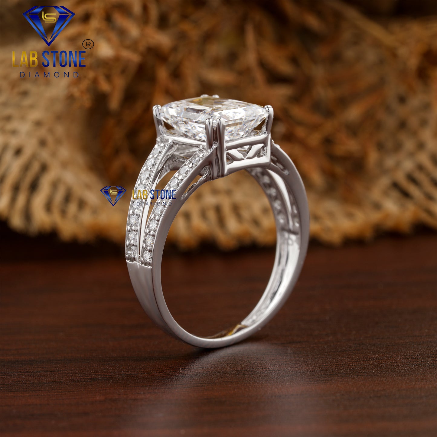 3.25 TDW Radiant & Round Cut Diamond Women's Engagement Ring