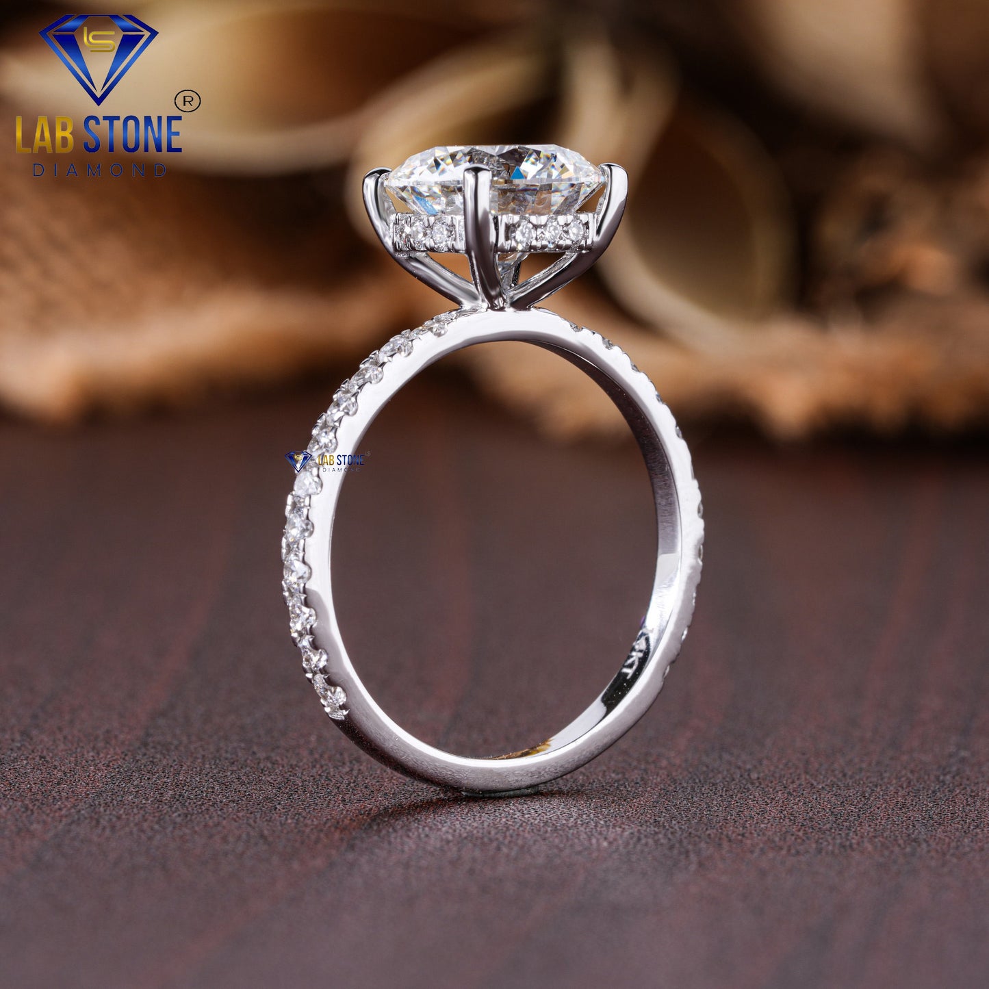 2.98 TDW Round Cut Diamond Women's Hidden-Halo Engagement Ring