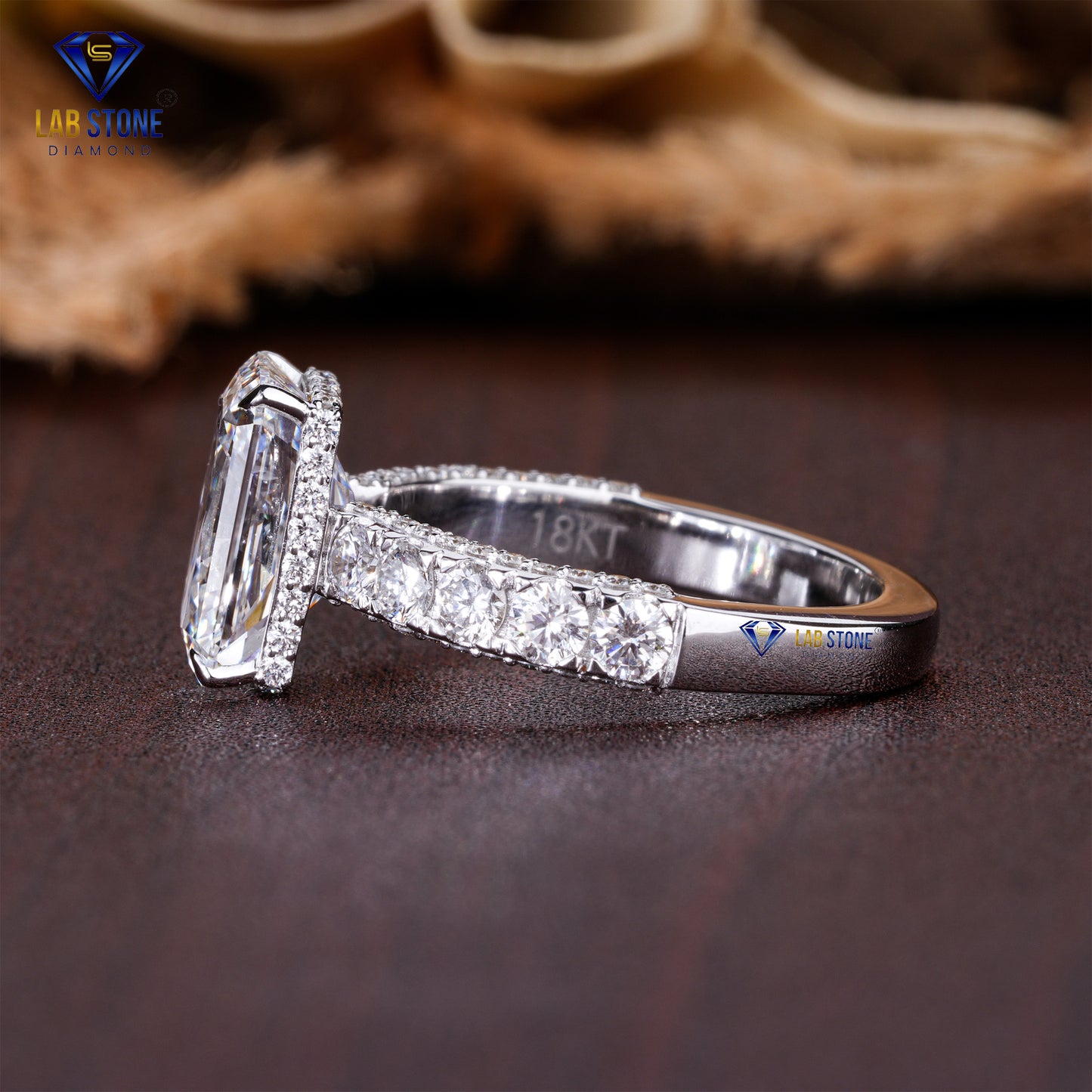 3.99 TDW Radiant & Round Cut Diamond Women’s Engagement Ring