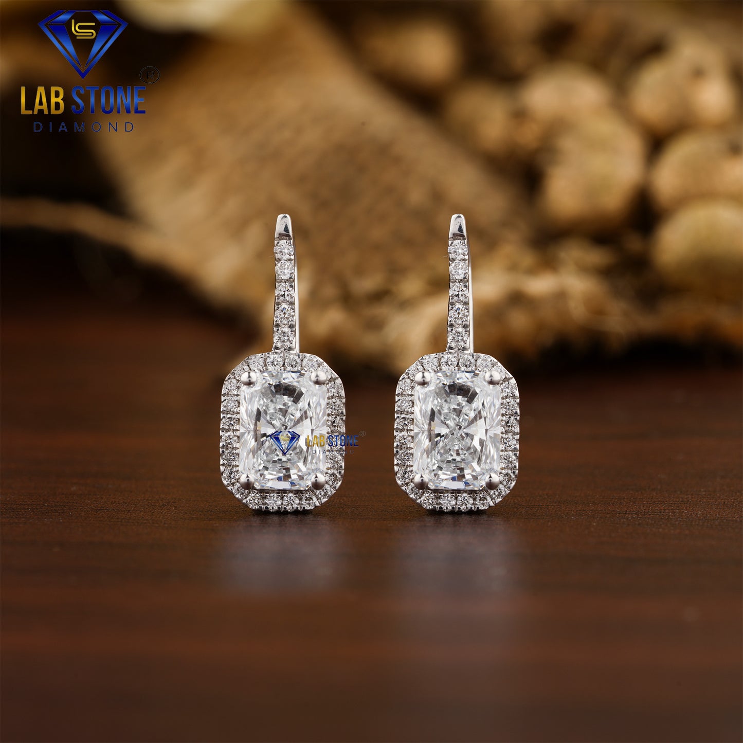 1.64 TDW Radiant & Round Cut Diamond Drop & Dangle Earring