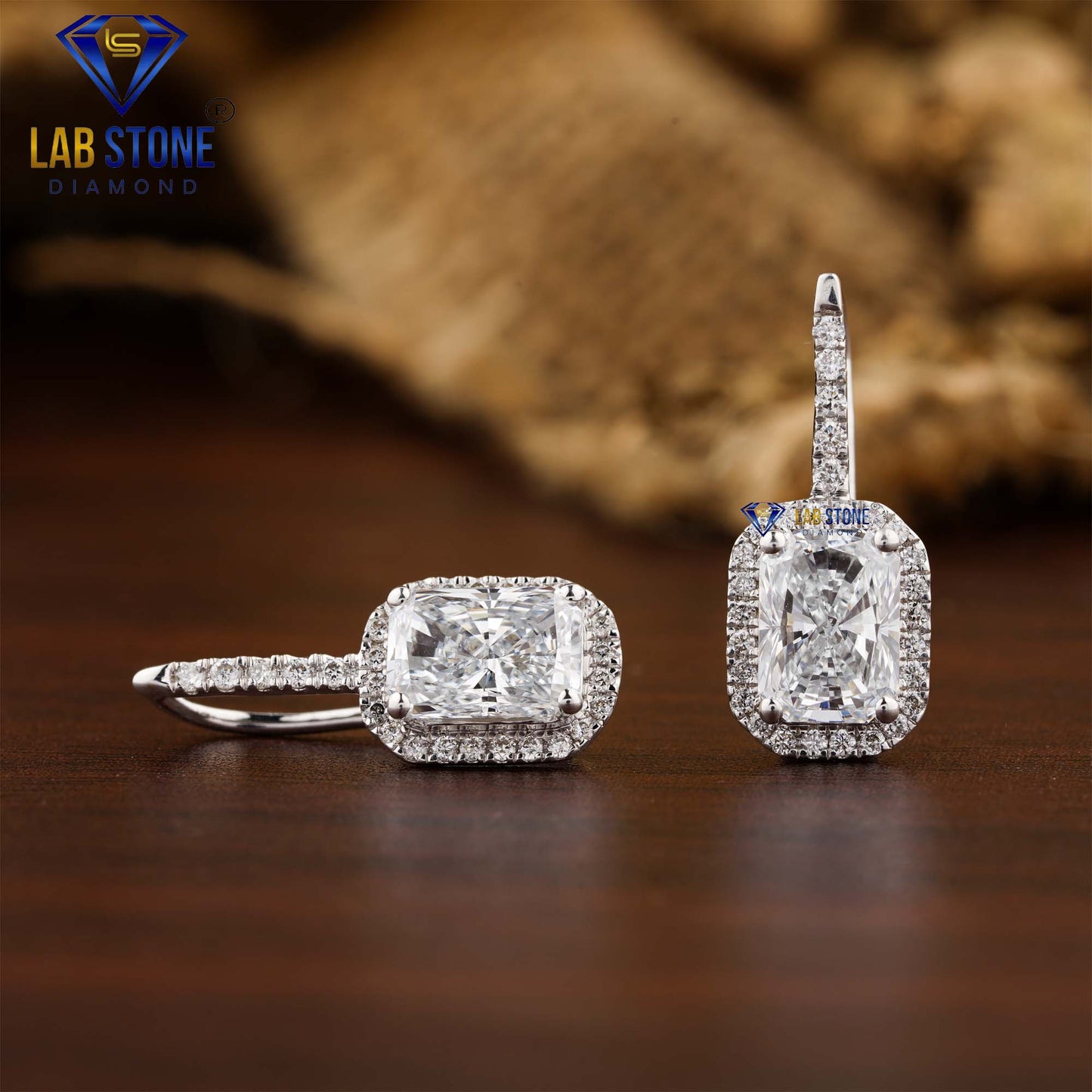 1.64 TDW Radiant & Round Cut Diamond Drop & Dangle Earring