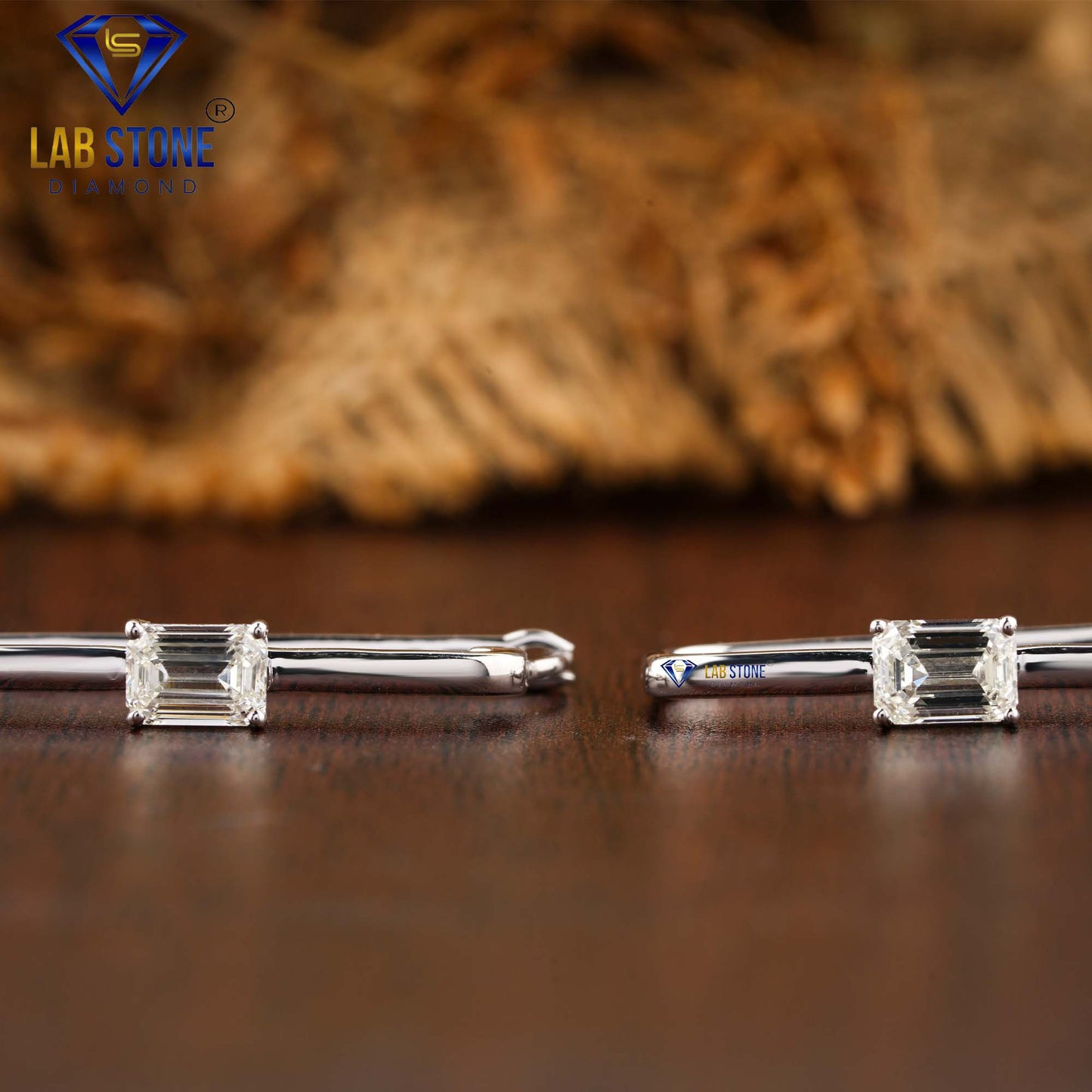 0.64 TDW Emerald Cut Diamond Hoop Earrings