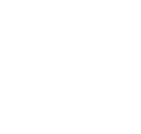 Labstone