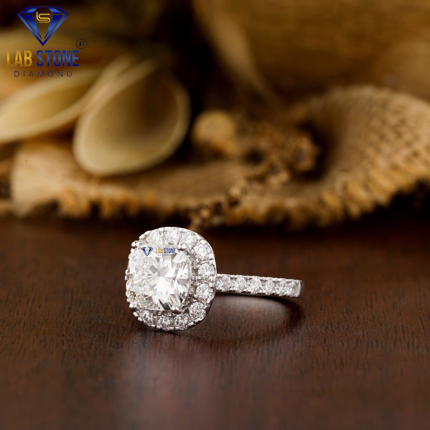 3.00 TDW Cushion & Round Cut Women’s Halo Diamond Ring