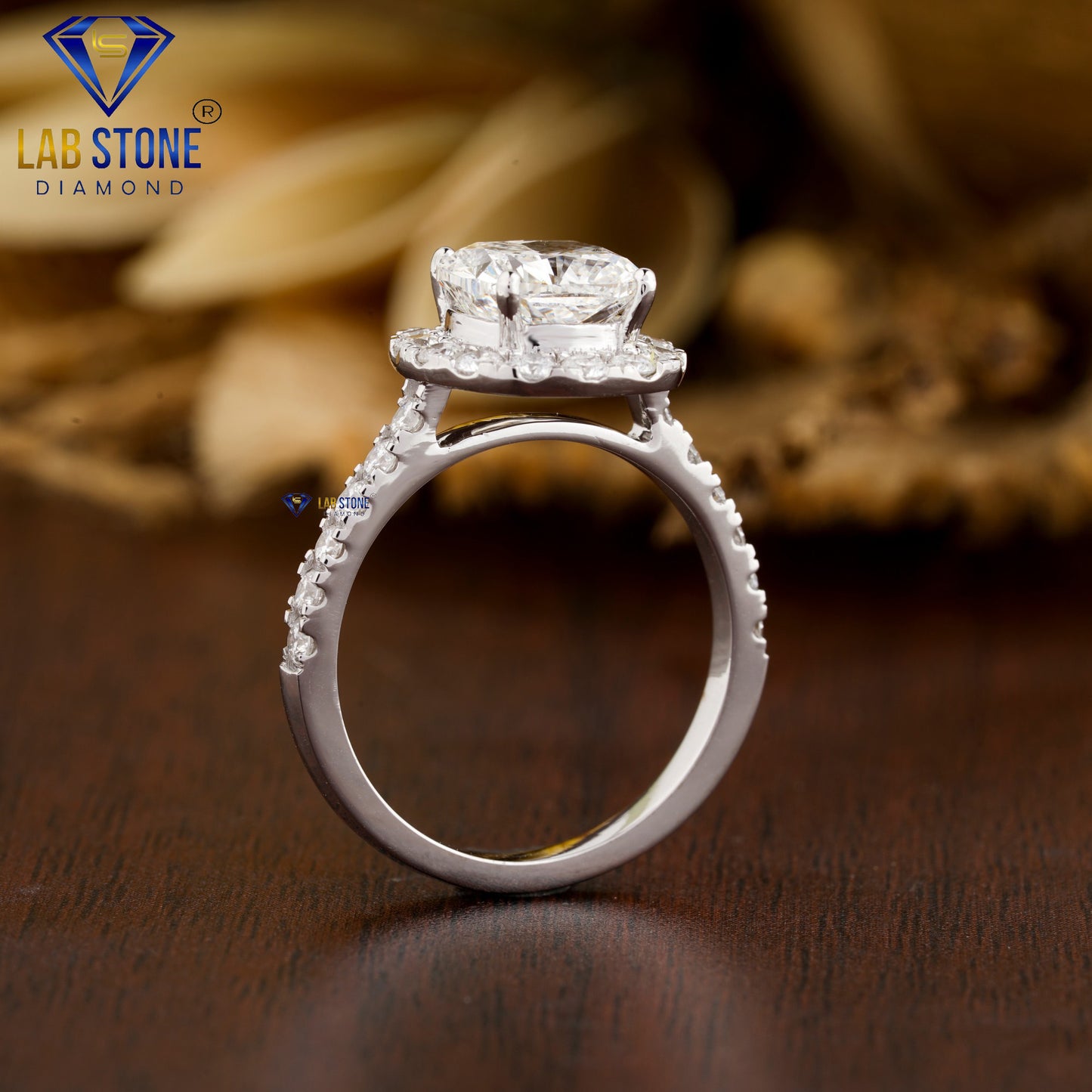 3.00 TDW Cushion & Round Cut Women’s Halo Diamond Ring